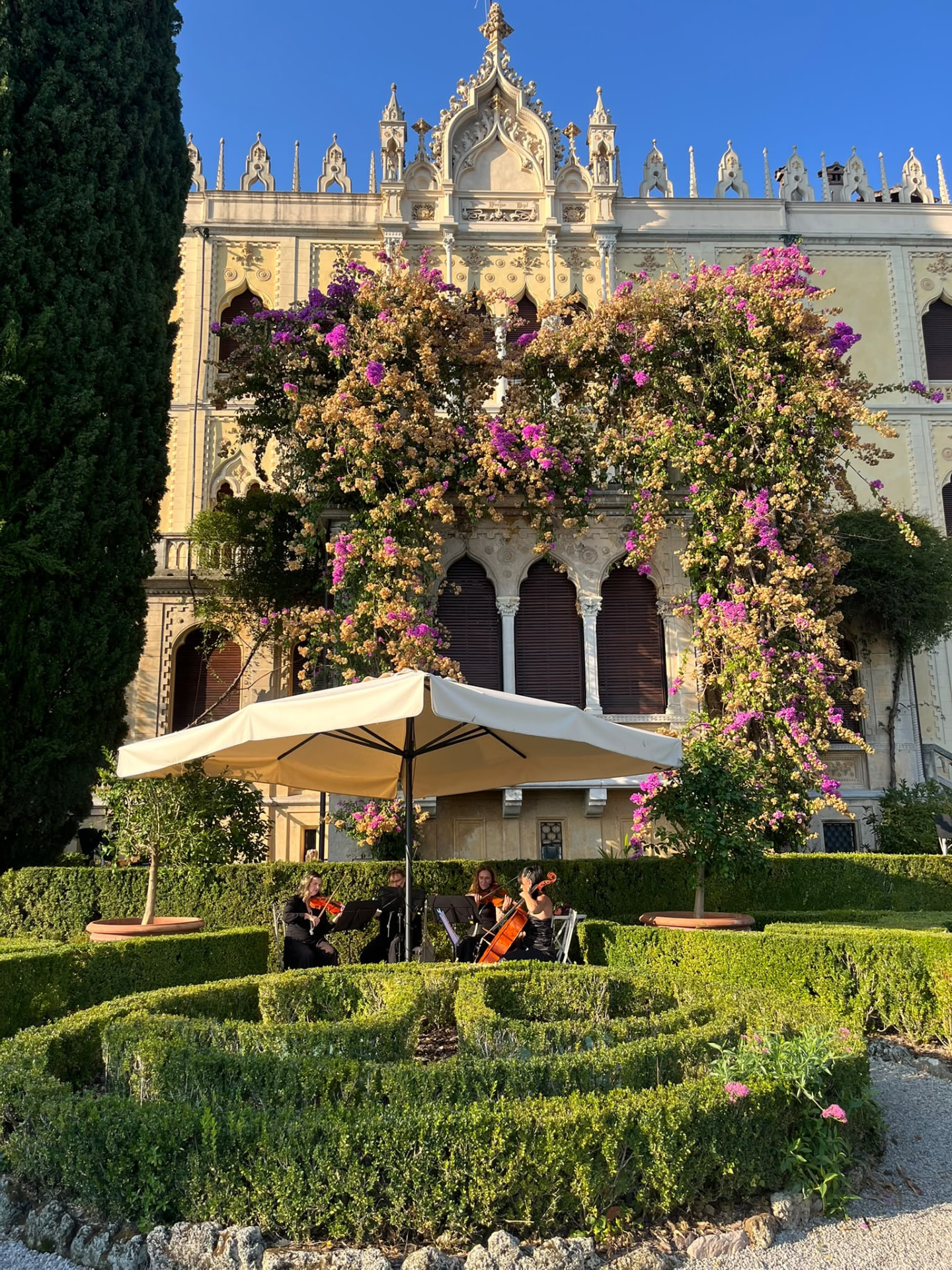 Golden Bow Ensemble, quartetto d'archi in concerto nel giardino di un ricevimento